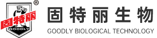 js6666集团（新加坡）